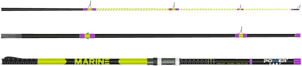 MARINE saltwater rod - Surf, Sea, Beach, Pier and Rock fishing for bass, ray, tope, cod, Mackerel (3pieces)