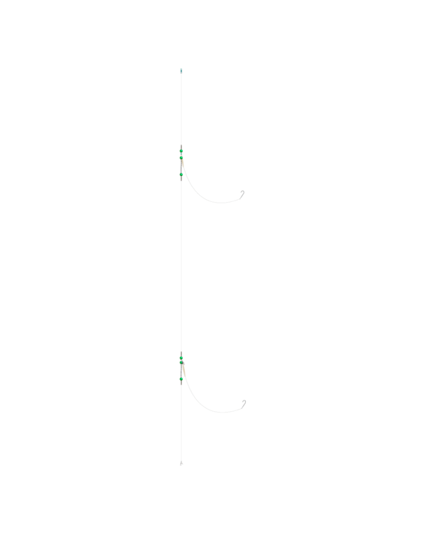 2-Hook-Flapper-Rig-Single